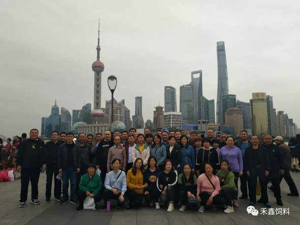 "���Ή�(m��ng)֮����g��(l�� )�A�|��"2019����A�|֮�ÈA�M(m��n)�Y��